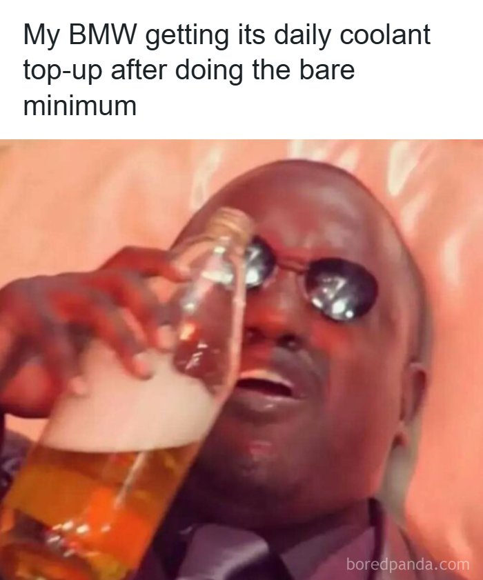Buckle Up! These Hilarious Car Memes Will Totally Shift Your Mood