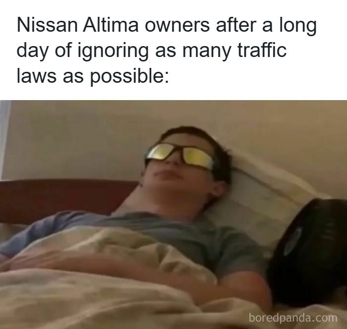 Buckle Up! These Hilarious Car Memes Will Totally Shift Your Mood