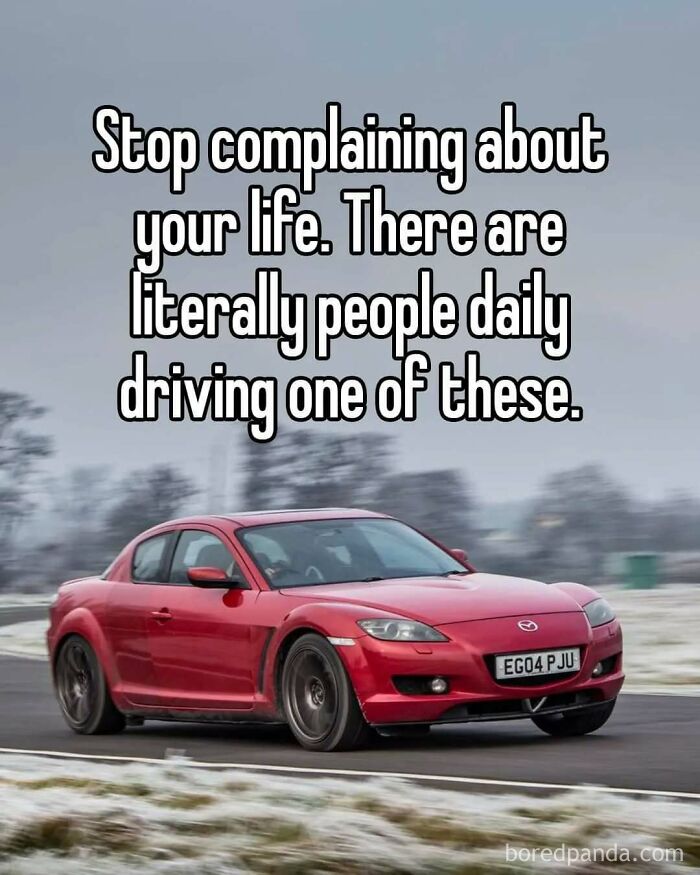 Buckle Up! These Hilarious Car Memes Will Totally Shift Your Mood