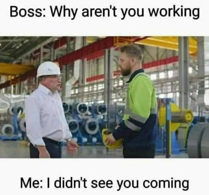Buckle Up! These Hilarious Car Memes Will Totally Shift Your Mood