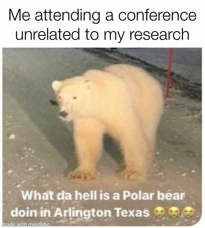 82 Hilarious PhD Memes That’ll Make You Rethink Academia