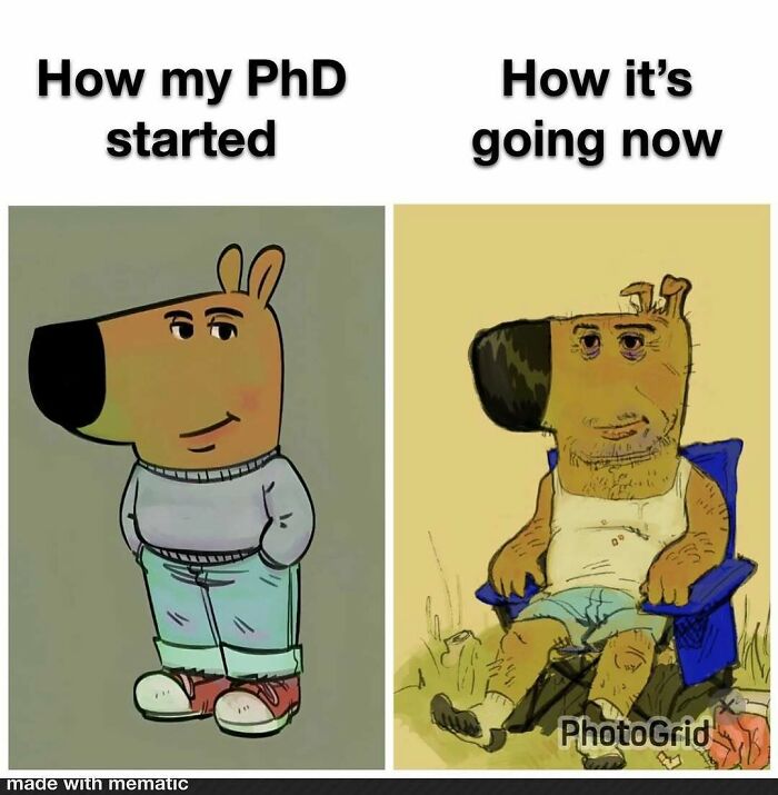 82 Hilarious PhD Memes That’ll Make You Rethink Academia