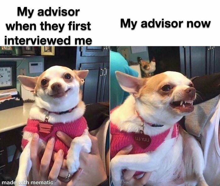 82 Hilarious PhD Memes That’ll Make You Rethink Academia