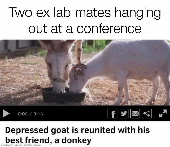 82 Hilarious PhD Memes That’ll Make You Rethink Academia