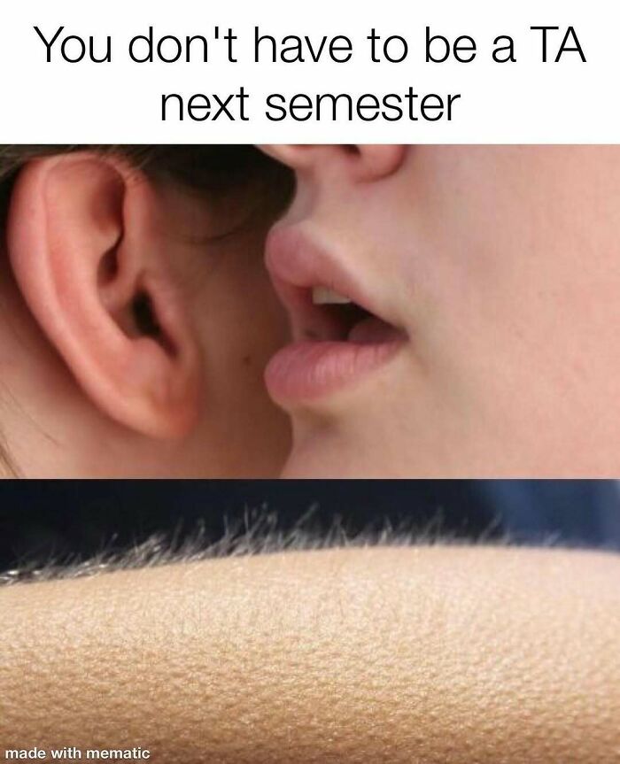 82 Hilarious PhD Memes That’ll Make You Rethink Academia