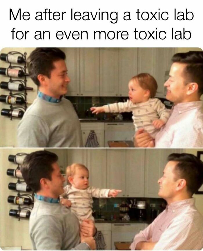 82 Hilarious PhD Memes That’ll Make You Rethink Academia