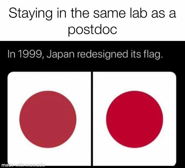 82 Hilarious PhD Memes That’ll Make You Rethink Academia