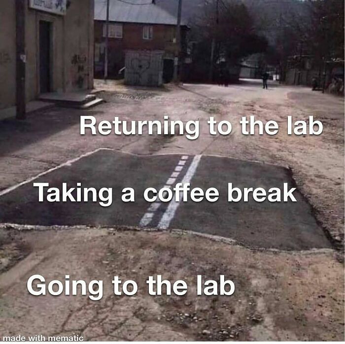 82 Hilarious PhD Memes That’ll Make You Rethink Academia