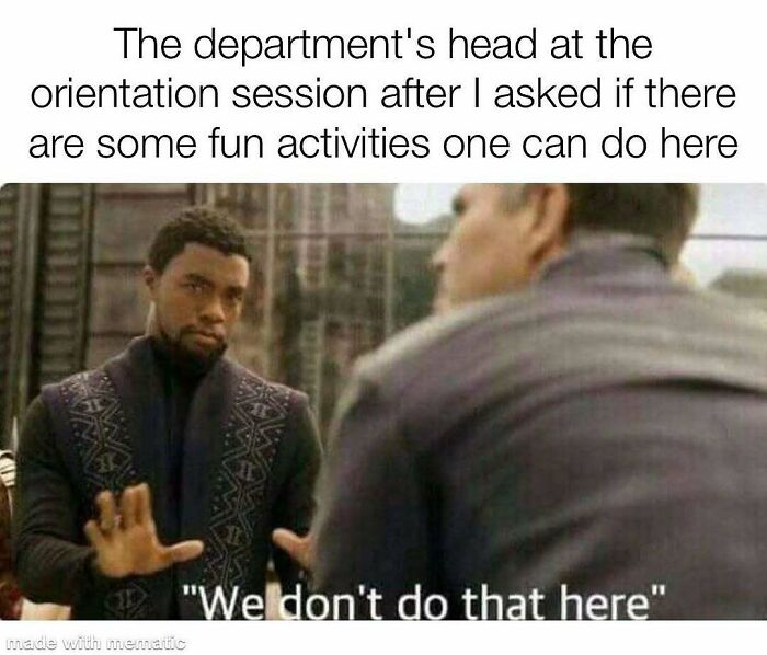 82 Hilarious PhD Memes That’ll Make You Rethink Academia