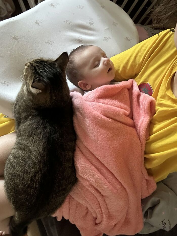 Wait, Moms Proved Motherhood Is Anything But Easy — And Hilarious