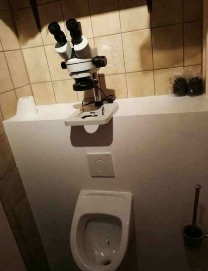 Toilet Time Took an Unexpected Turn