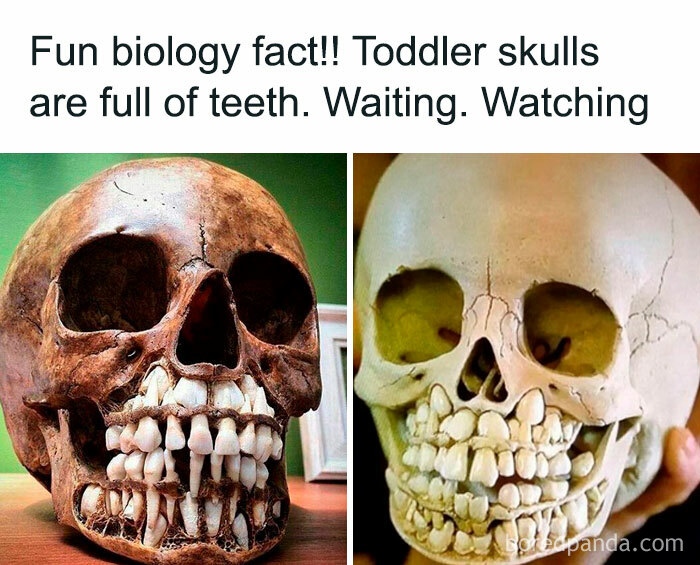 Wait, They Actually Ranked These Wickedly Weird Cursed Pics?