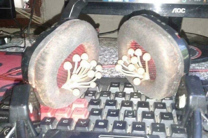 Wait, They Actually Ranked These Wickedly Weird Cursed Pics?
