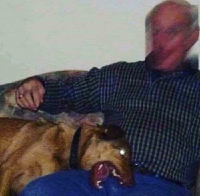 Wait, They Actually Ranked These Wickedly Weird Cursed Pics?