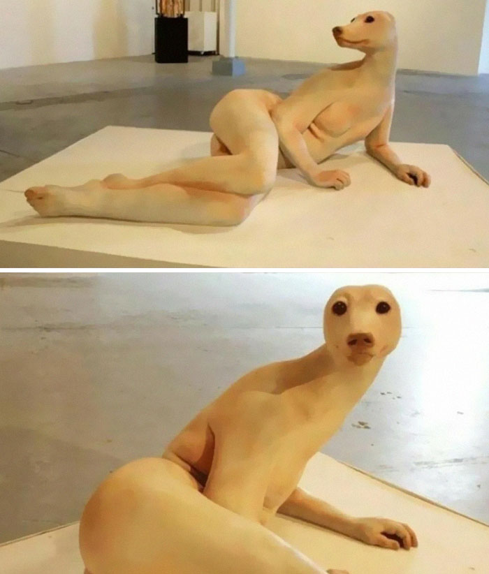 Wait, They Actually Ranked These Wickedly Weird Cursed Pics?