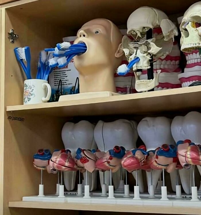 Wait, They Actually Ranked These Wickedly Weird Cursed Pics?