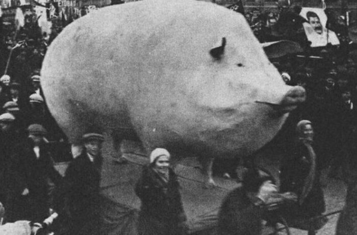 Wait, They Actually Ranked These Wickedly Weird Cursed Pics?