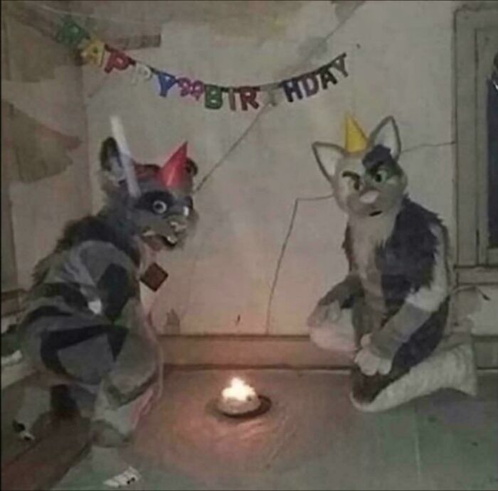 Wait, They Actually Ranked These Wickedly Weird Cursed Pics?