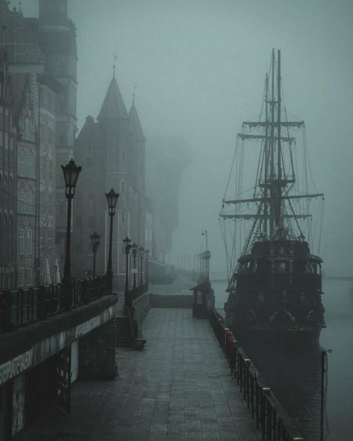 Imagine This As Your Morning Walk—You’re Welcome