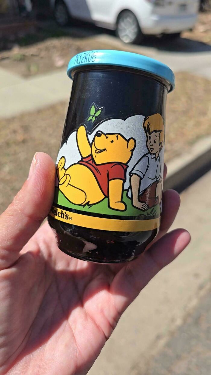 Unopened Jar Of Welches Jelly From 1994 — Jelly Time Capsule!