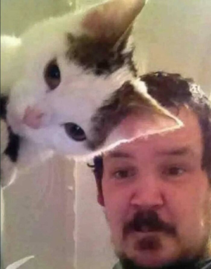 Wait, They Actually Ranked That?! 81 Images That Are So Weird They Might Be Cursed (But Seriously Hilarious)