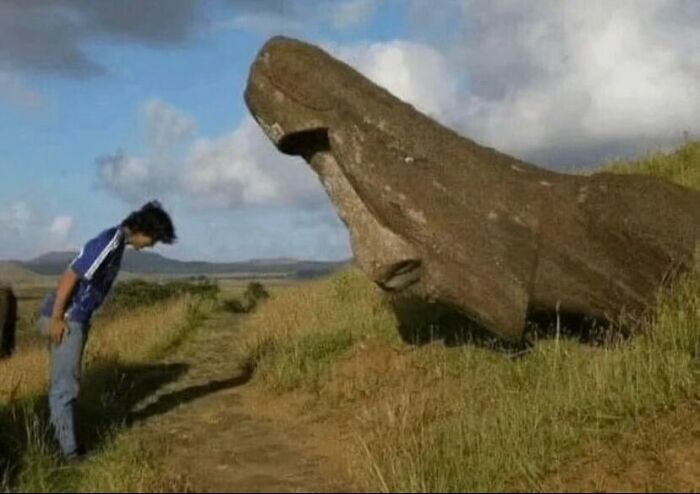Wait, They Actually Ranked That?! 81 Images That Are So Weird They Might Be Cursed (But Seriously Hilarious)
