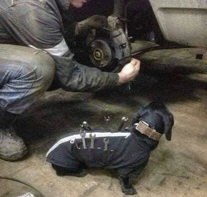Wait, They Actually Ranked That?! 81 Images That Are So Weird They Might Be Cursed (But Seriously Hilarious)
