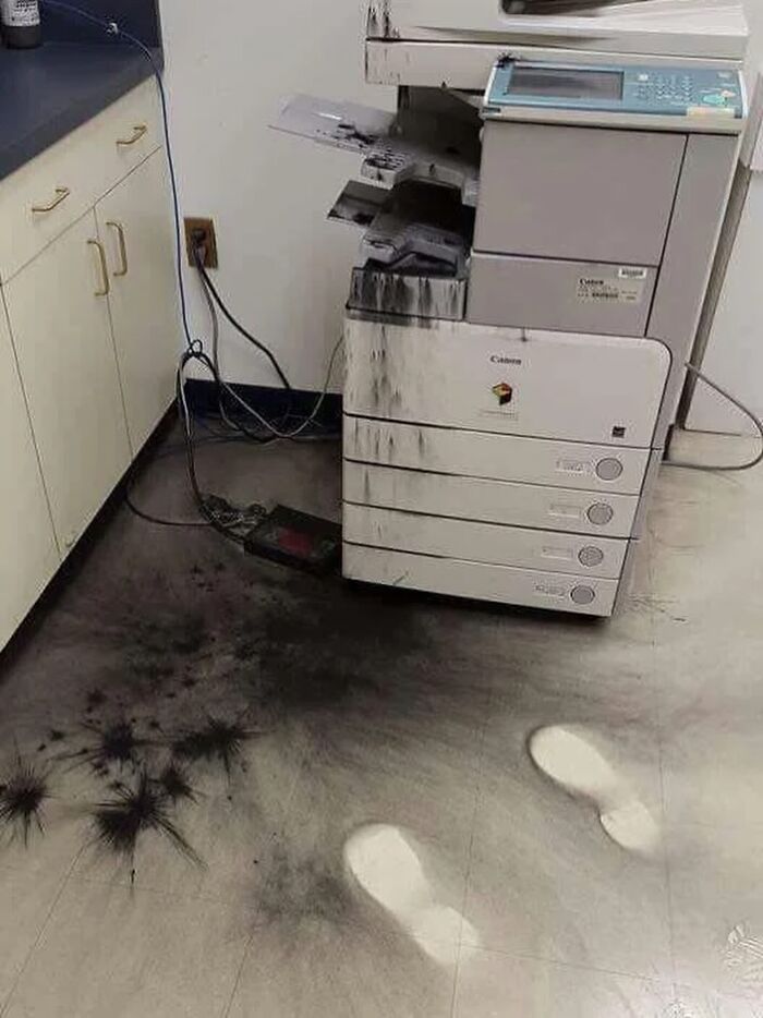 Wait, They Actually Ranked That?! 81 Images That Are So Weird They Might Be Cursed (But Seriously Hilarious)