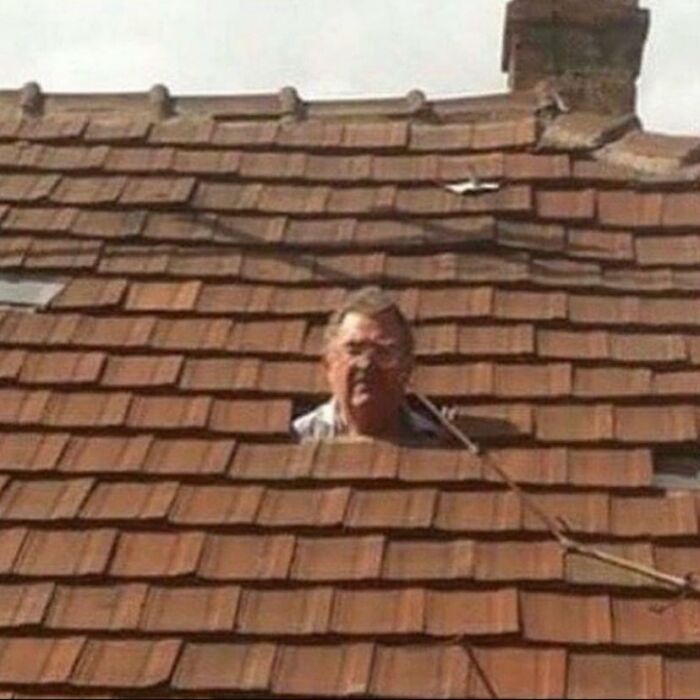 Wait, They Actually Ranked That?! 81 Images That Are So Weird They Might Be Cursed (But Seriously Hilarious)