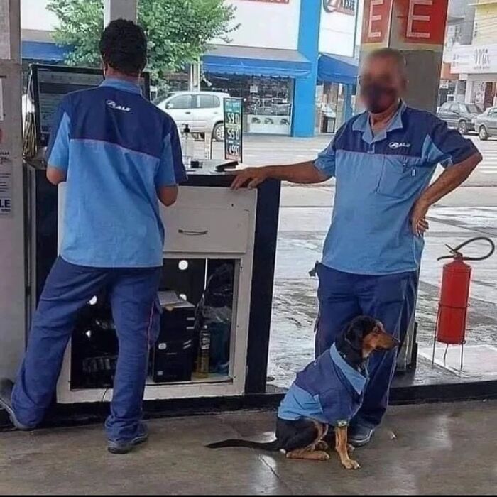 Wait, They Actually Ranked That?! 81 Images That Are So Weird They Might Be Cursed (But Seriously Hilarious)