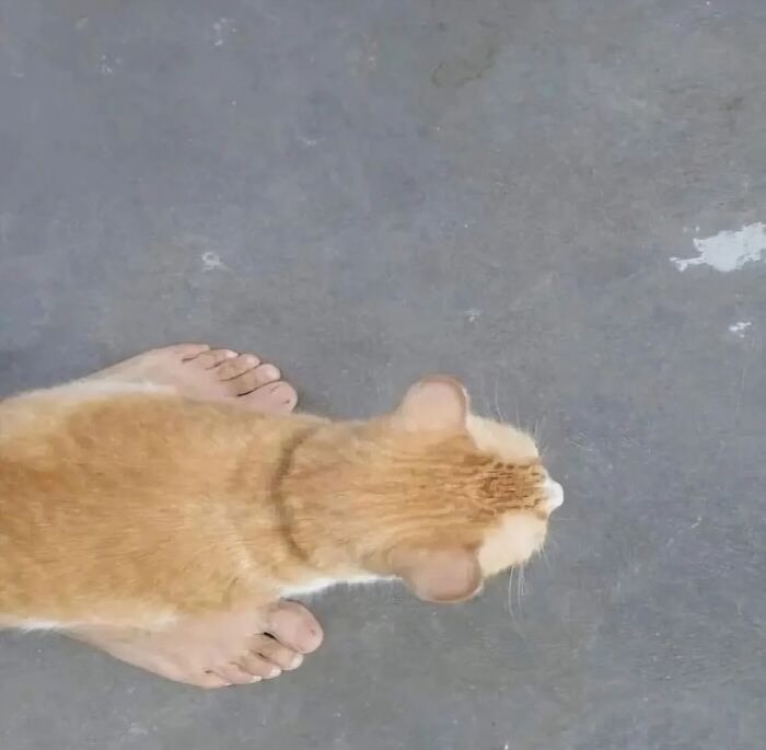 Wait, They Actually Ranked That?! 81 Images That Are So Weird They Might Be Cursed (But Seriously Hilarious)