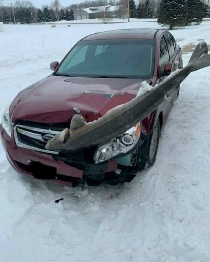 Wait, They Actually Ranked That?! 81 Images That Are So Weird They Might Be Cursed (But Seriously Hilarious)