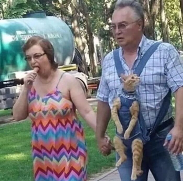 Wait, They Actually Ranked That?! 81 Images That Are So Weird They Might Be Cursed (But Seriously Hilarious)