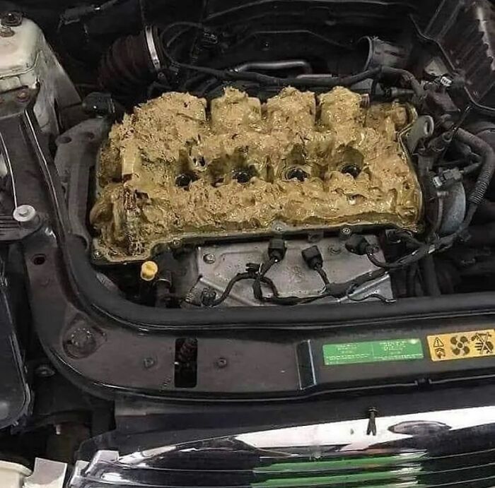Wait, They Actually Ranked That?! 81 Images That Are So Weird They Might Be Cursed (But Seriously Hilarious)