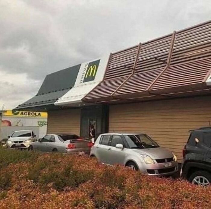Wait, They Actually Ranked That?! 81 Images That Are So Weird They Might Be Cursed (But Seriously Hilarious)