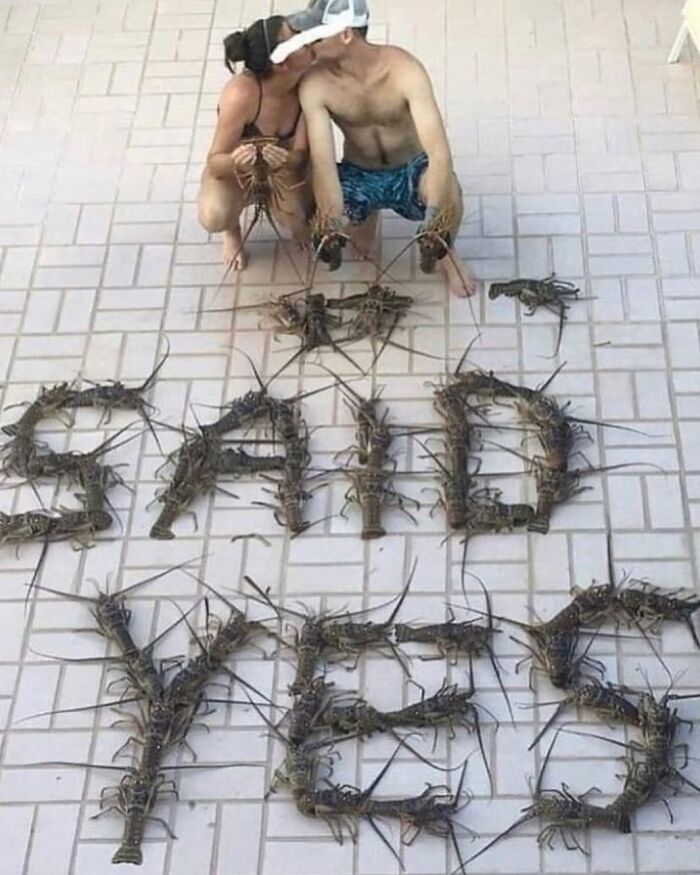 Wait, They Actually Ranked That?! 81 Images That Are So Weird They Might Be Cursed (But Seriously Hilarious)