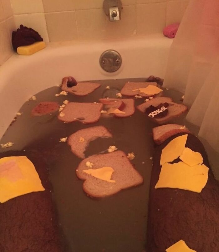 Wait, They Actually Ranked That?! 81 Images That Are So Weird They Might Be Cursed (But Seriously Hilarious)