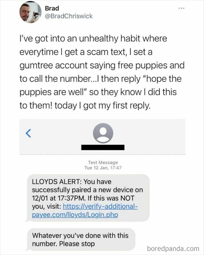 For When You Don't Have The Time To Scambait For Yourself