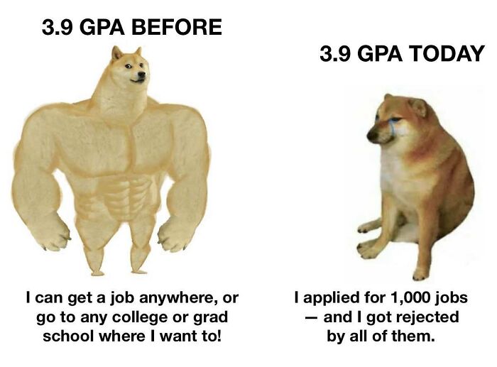 Wait, They Actually Ranked Those Hilarious Work Memes That'll Make You Rethink Your Job!