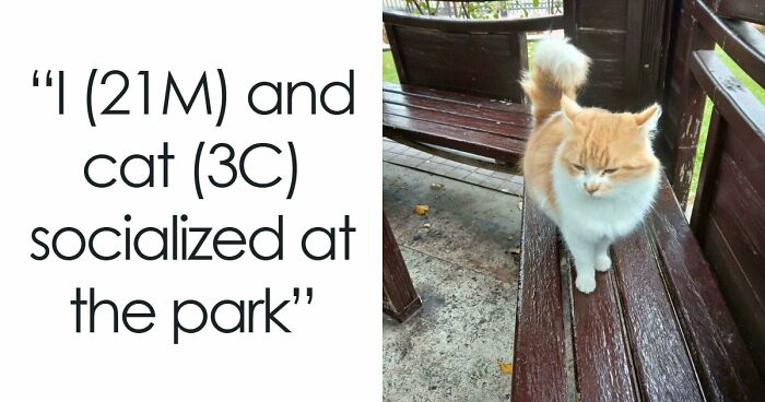 Let’s Celebrate The Most ‘Not Interesting’ Pics Ever – Yeah, Really!