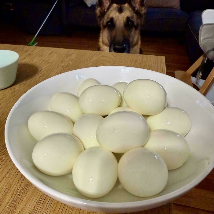 I Cracked the Hard-Boiled Egg Peeling Code. Adulting = Peaked.