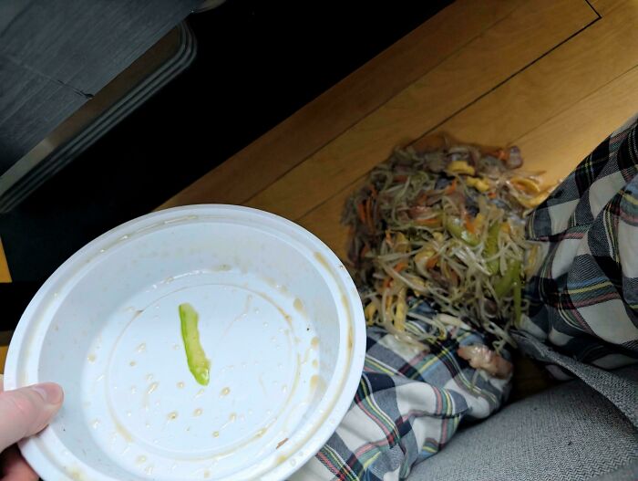 Let's Celebrate The Most 'Not Interesting' Pics Ever - Yeah, Really!