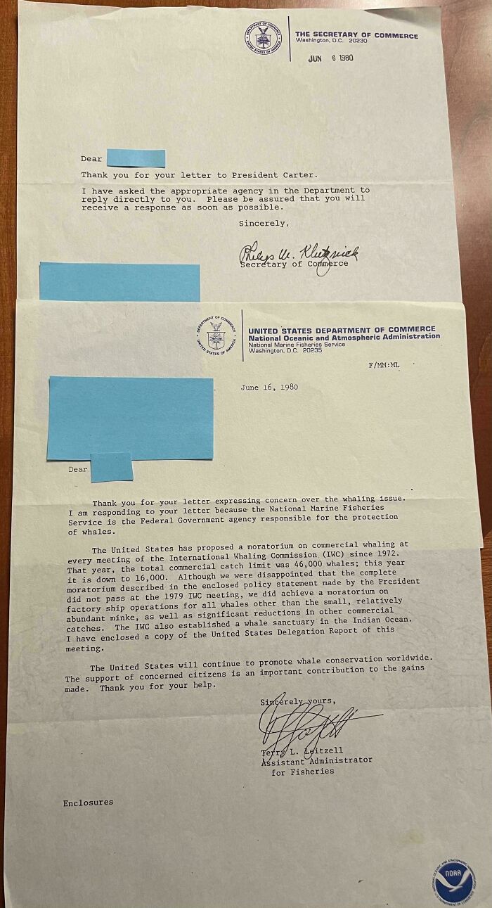 I Wrote an Anti-Whaling Letter at 8, and Got This Reply From President Carter!
