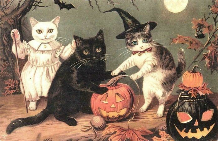 1919 Postcard: Happy Caturday, Old School Style