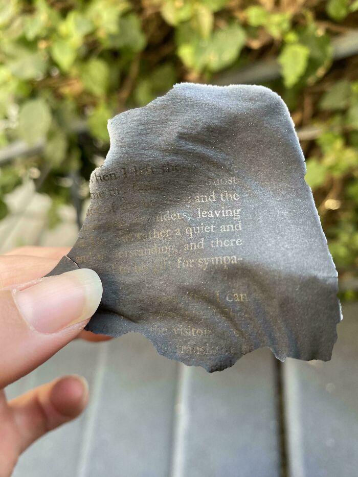 Hey, Check Out These 85 Wild Old Paper Treasures People Found Online