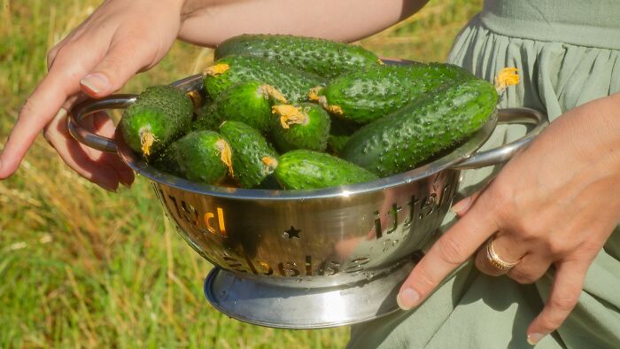 I’m Basically the Cucumber Queen and My Boyfriend Hates It