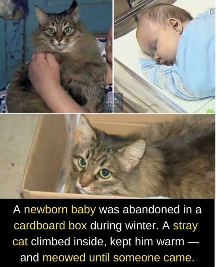 A Round of Applause for This One!