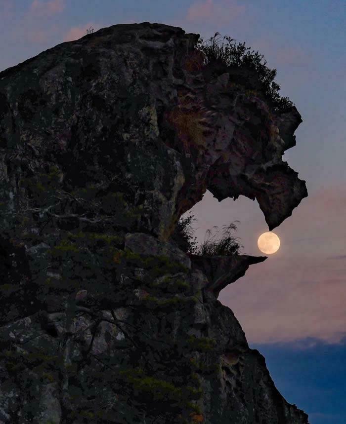 These 82 Photos Prove the World’s Still Got That Good Vibe
