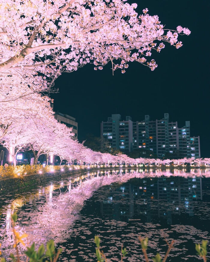 These 82 Photos Prove the World’s Still Got That Good Vibe