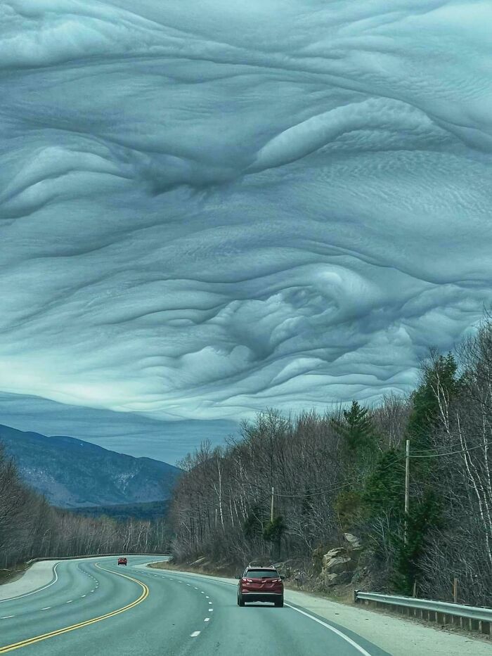 These 82 Photos Prove the World’s Still Got That Good Vibe